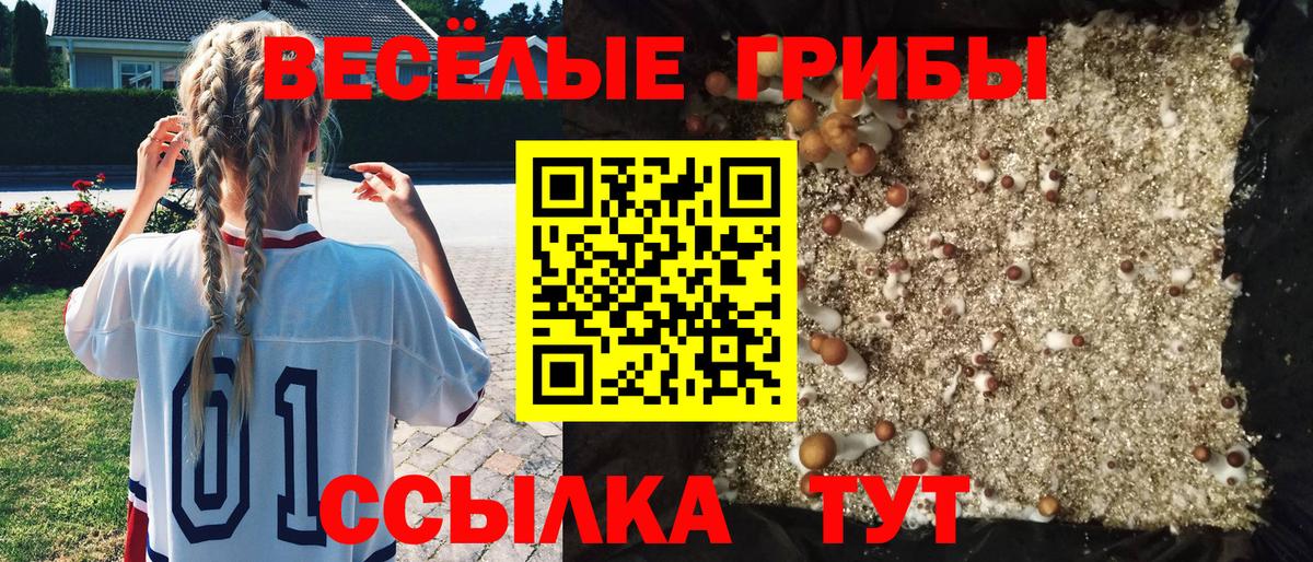Галлюциногенные грибы Cubensis  Вход с VPN  Россия 