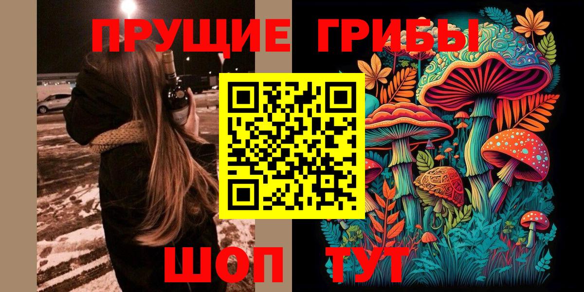 Псилоцибиновые грибы прущие грибы Россия